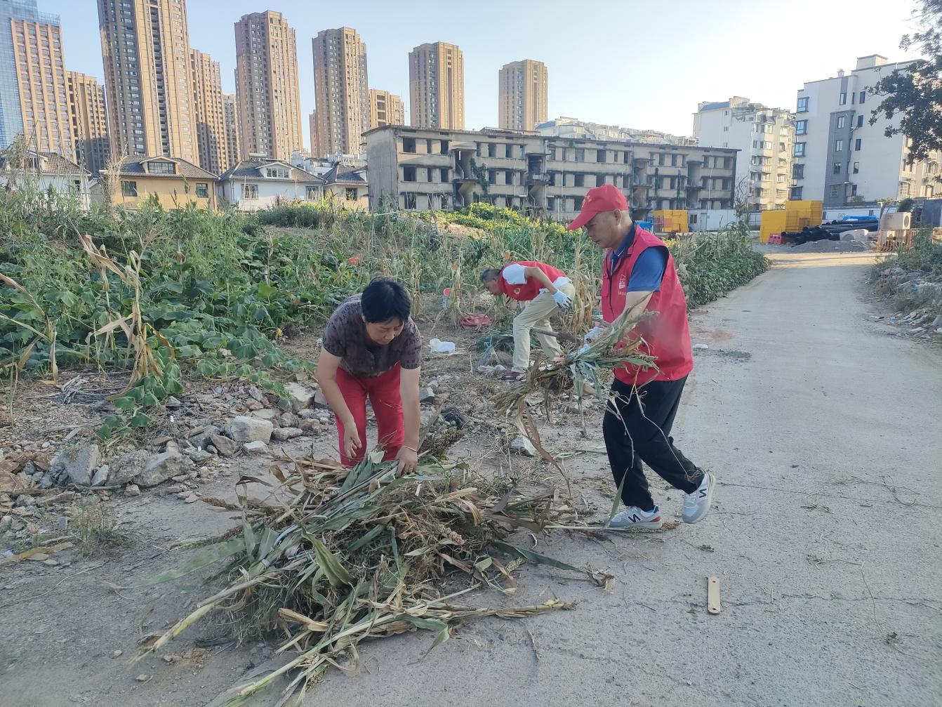 黨員進(jìn)社區(qū):守護(hù)綠色家園,彰顯國企擔(dān)當(dāng)